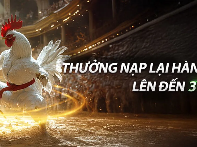 Hoàn trả hàng ngày shbet nổ hũ
